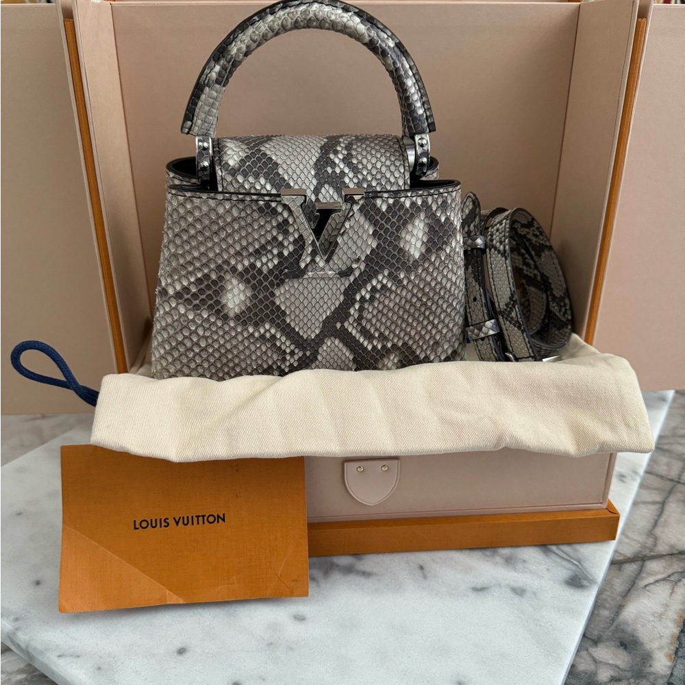 Rare Authentic Exotic Python Louis Vuitton mini Capucine - Picture 2 of 9